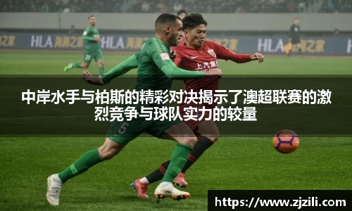 JJB竞技宝